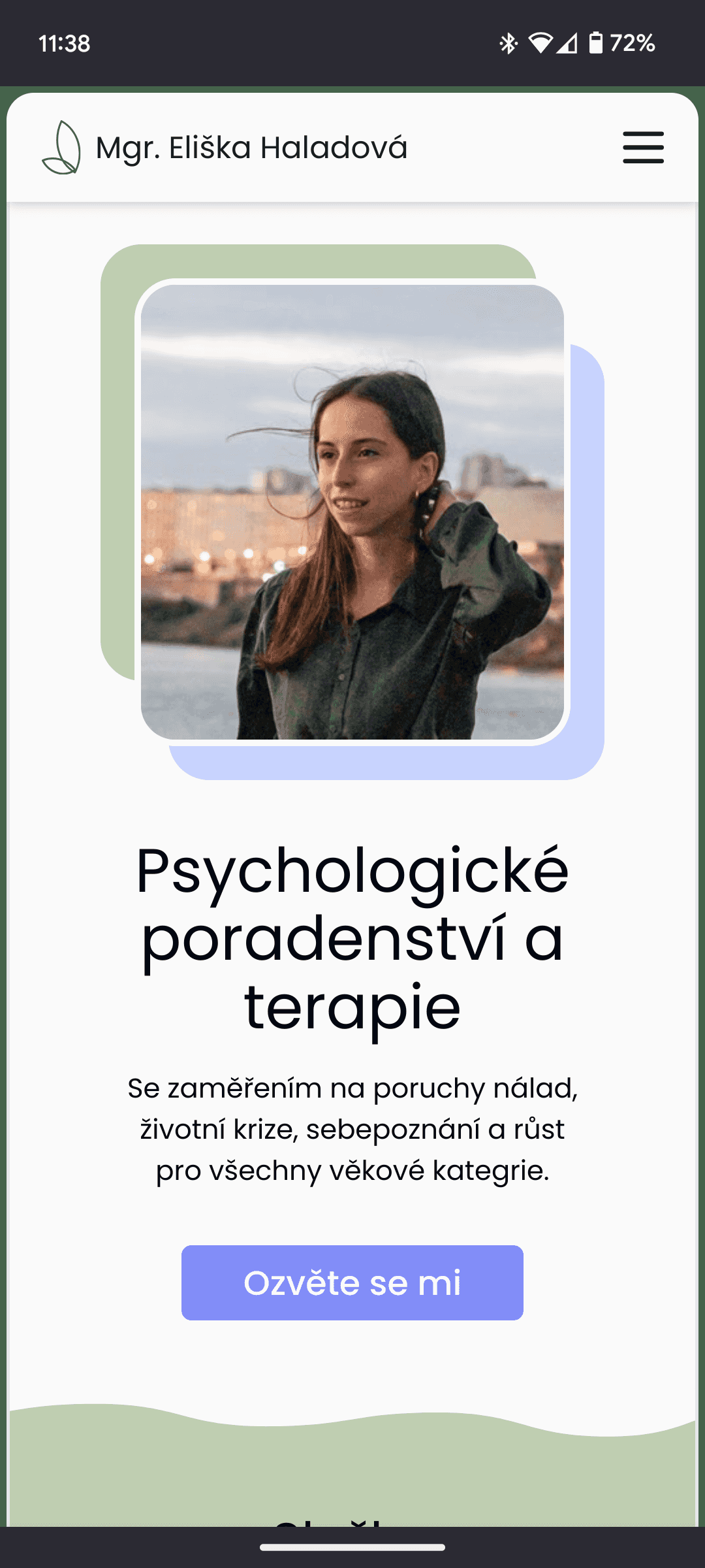 Example of a website on a phone